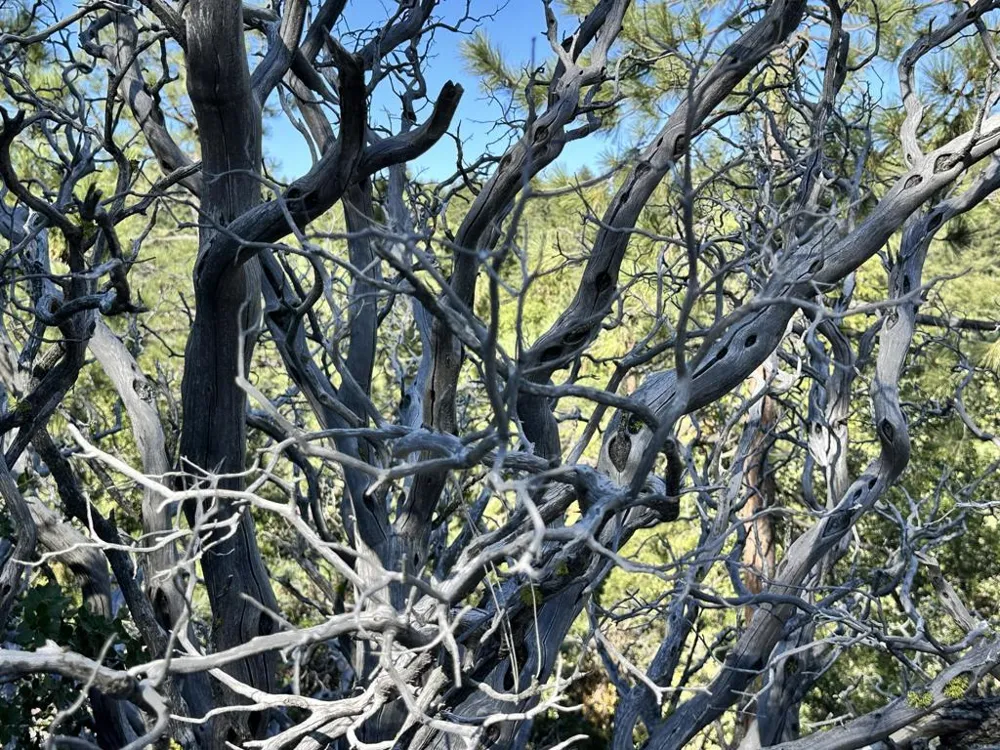 Mountain View Drive Idyllwild, CA 92549