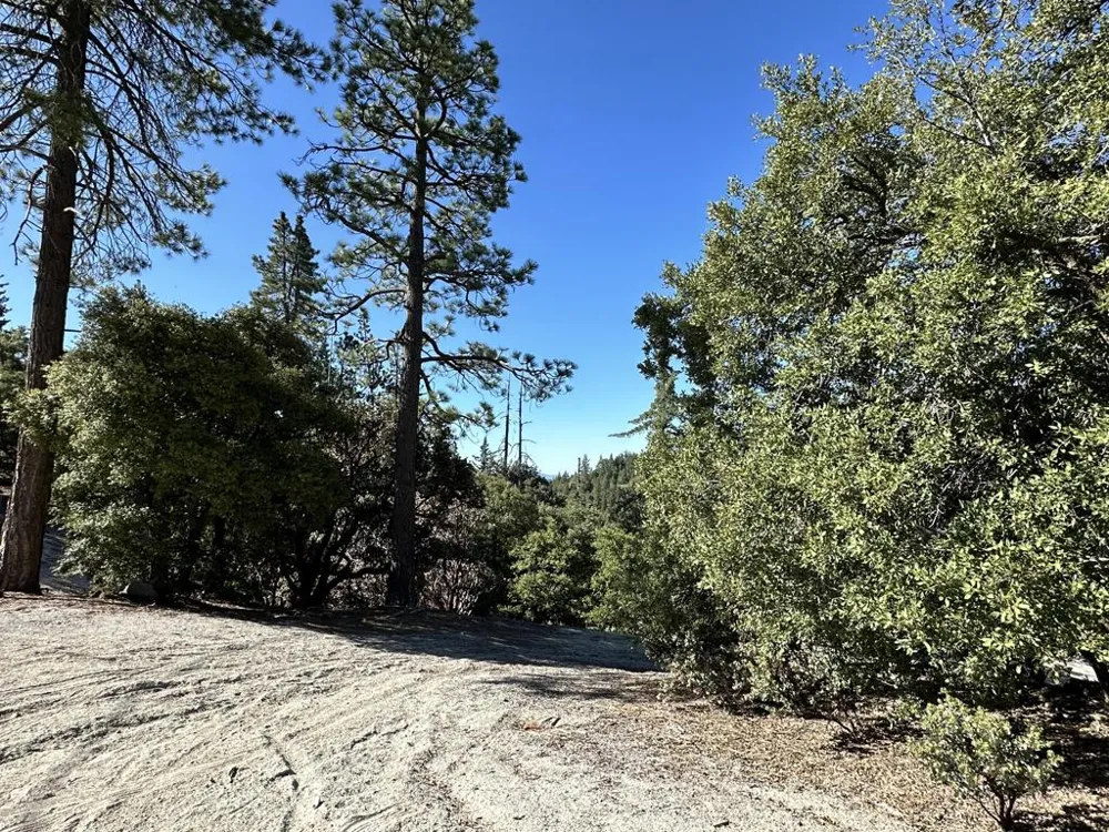 Mountain View Drive Idyllwild, CA 92549