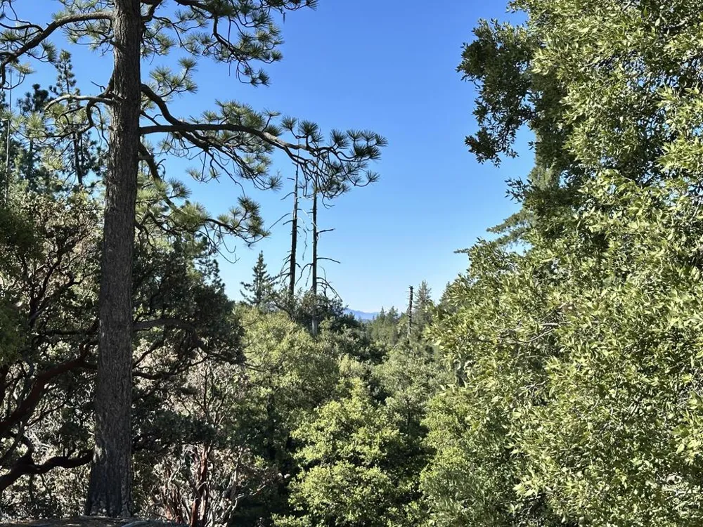 Mountain View Drive Idyllwild, CA 92549