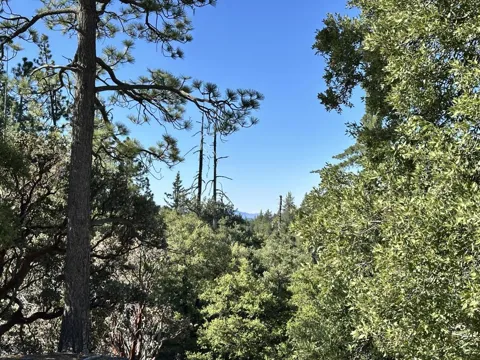 Mountain View Drive