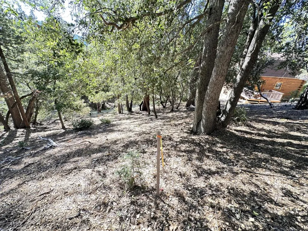 Mountain View Drive Idyllwild, CA 92549
