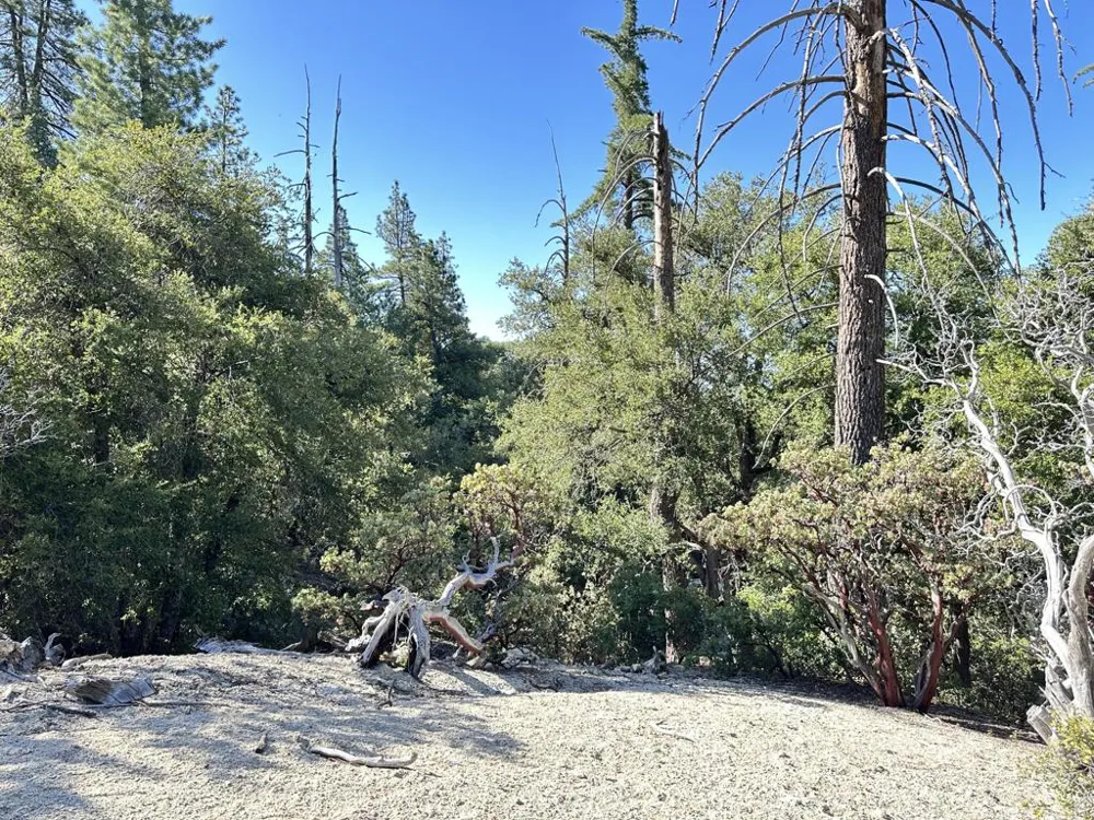 Mountain View Drive Idyllwild, CA 92549