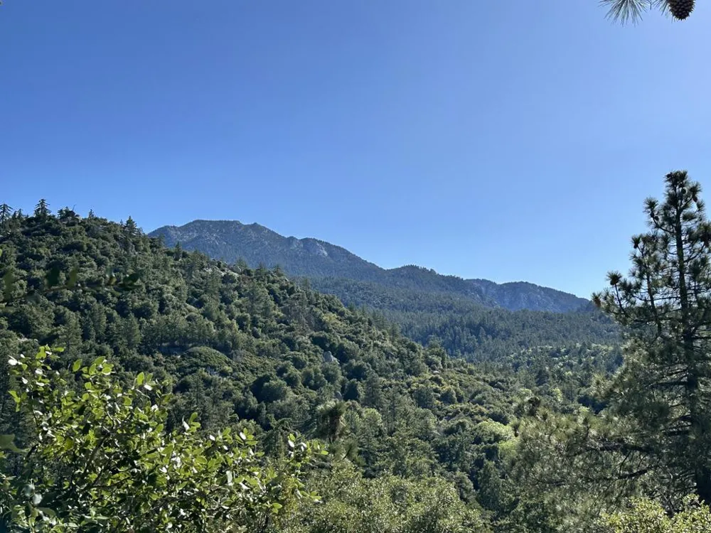Mountain View Drive Idyllwild, CA 92549