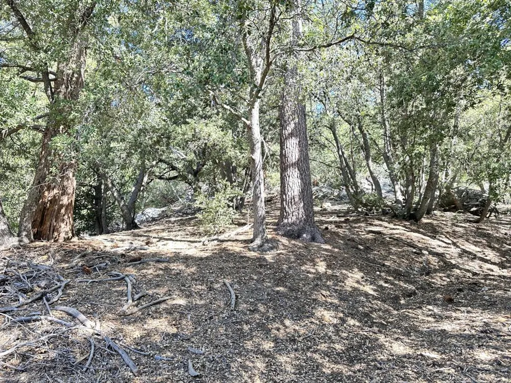 Mountain View Drive Idyllwild, CA 92549