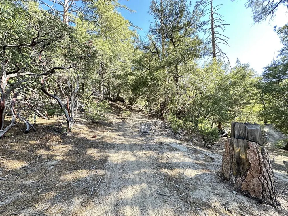 Mountain View Drive Idyllwild, CA 92549