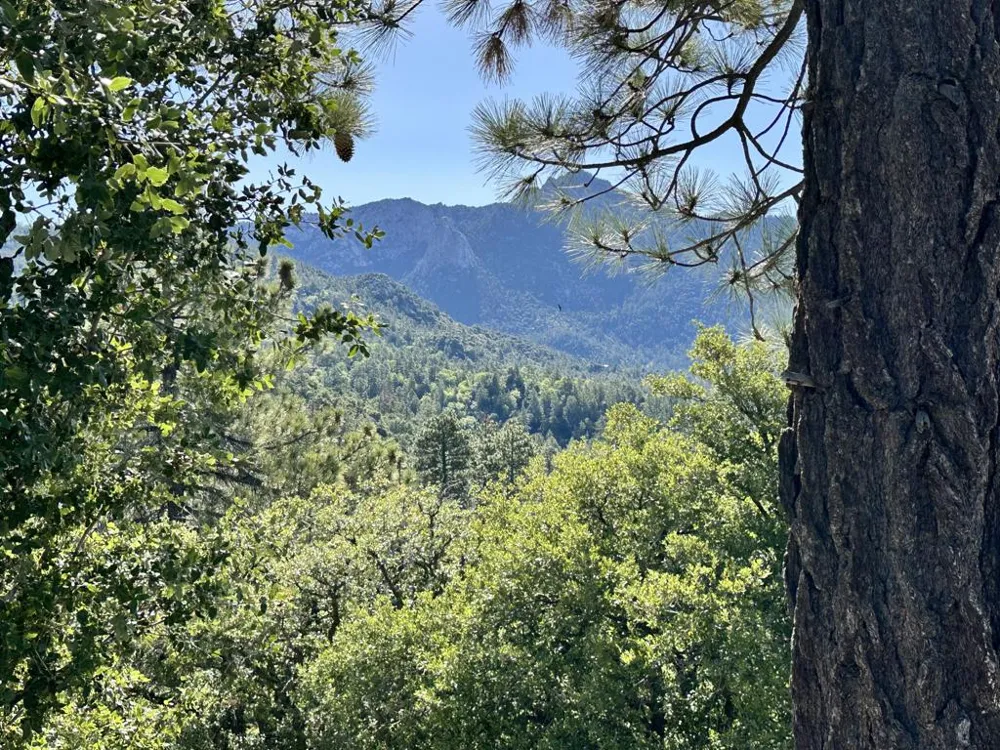 Mountain View Drive Idyllwild, CA 92549