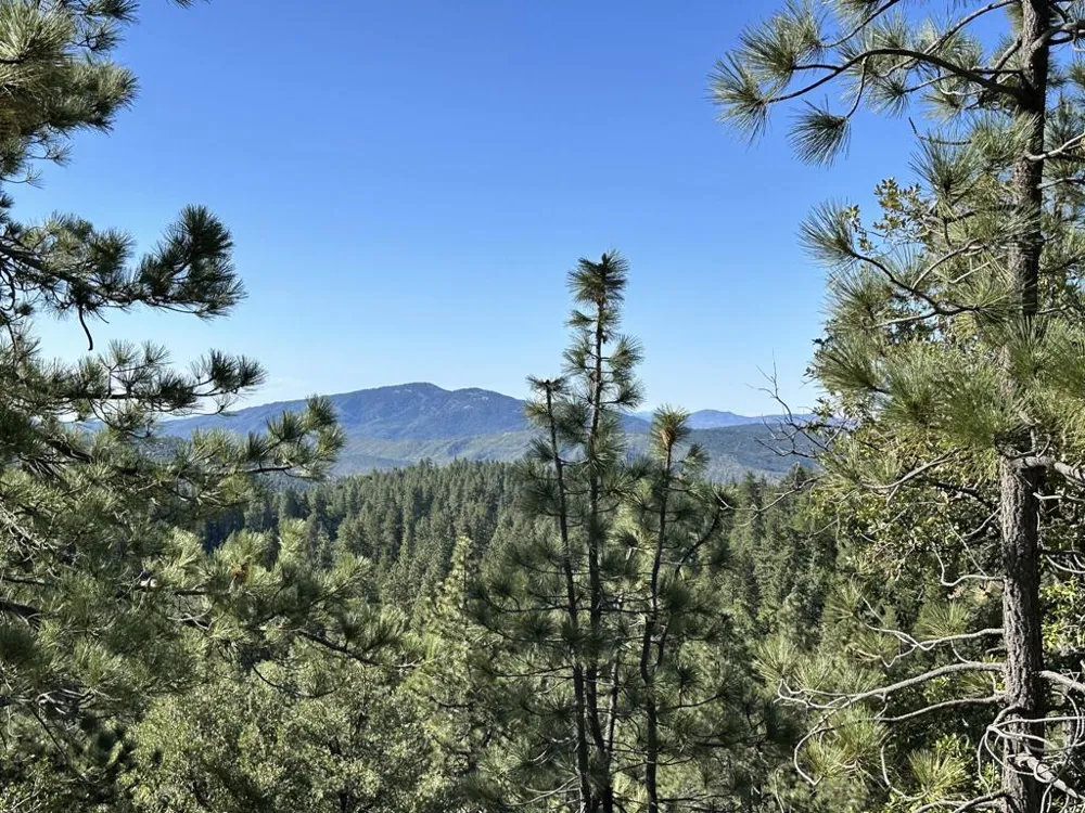 Mountain View Drive Idyllwild, CA 92549