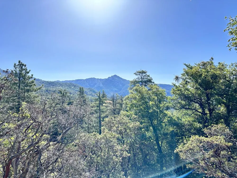 Mountain View Drive Idyllwild, CA 92549