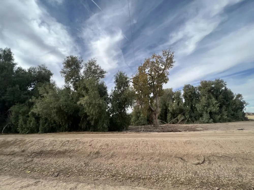 1159 Broadway Blythe, CA 92225