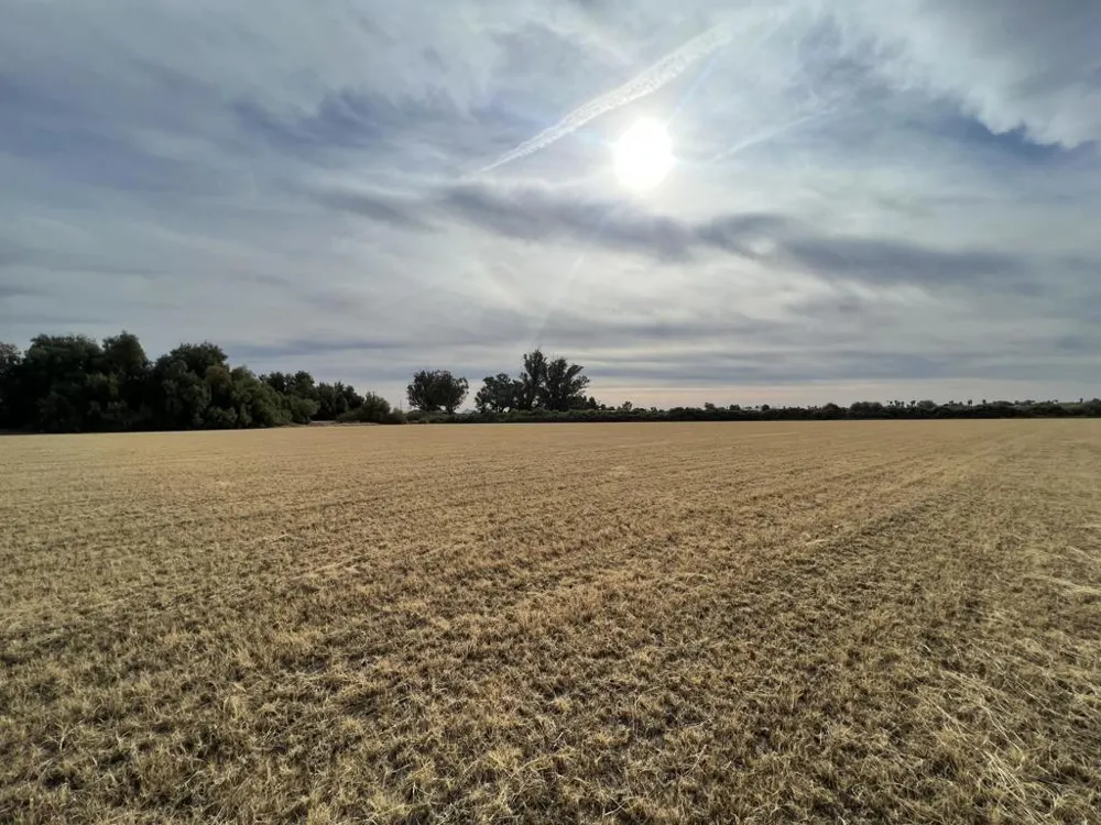 1159 Broadway Blythe, CA 92225