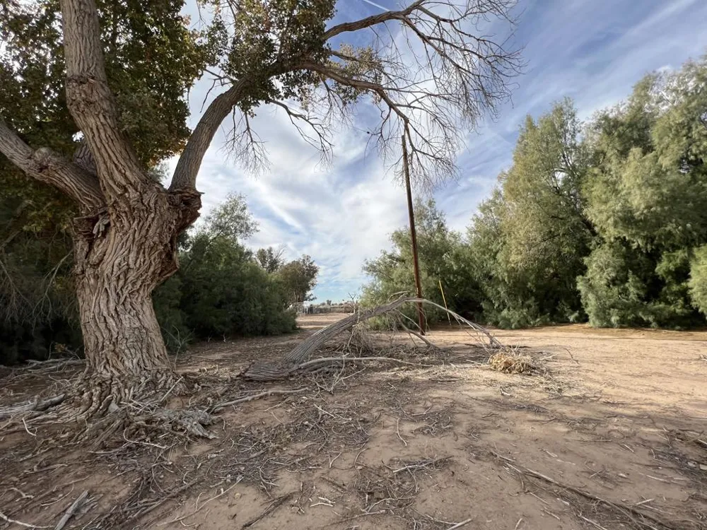 1159 Broadway Blythe, CA 92225