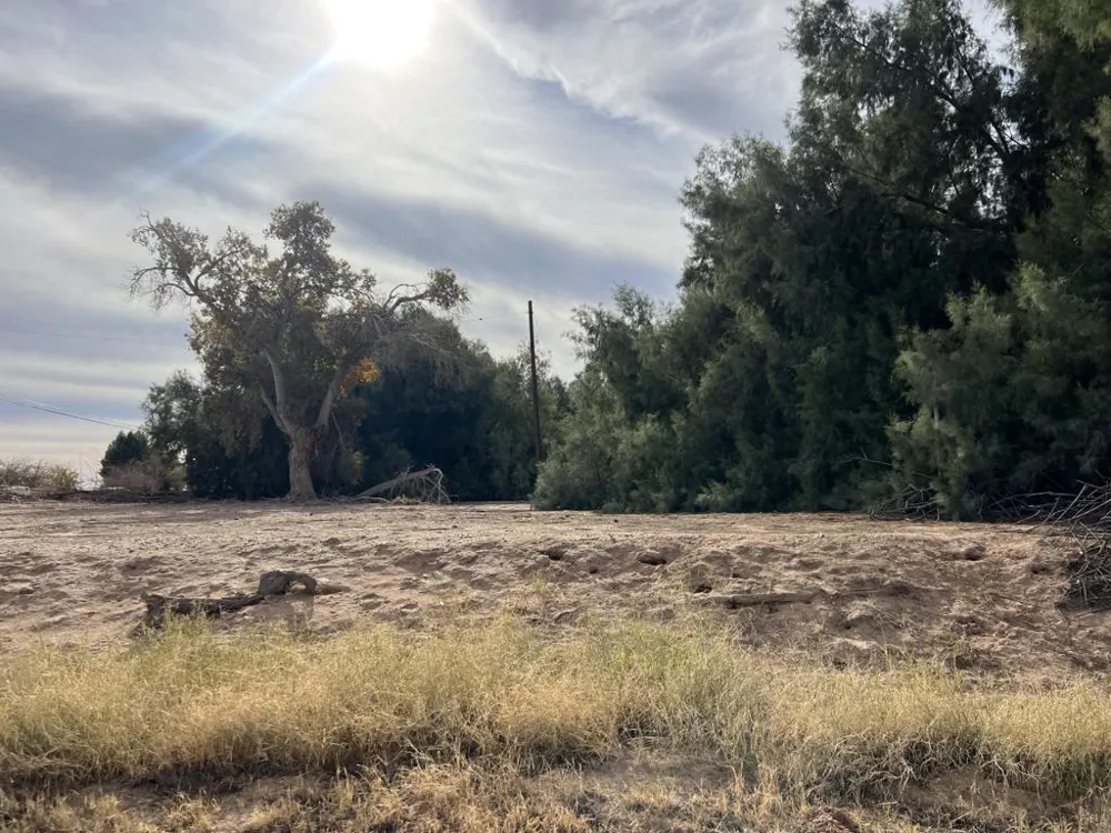 1159 Broadway Blythe, CA 92225