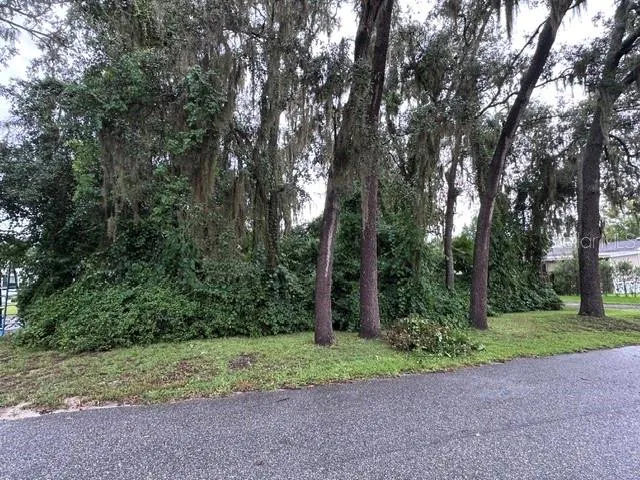 444 QUAIL STREET Lady Lake, FL 32159