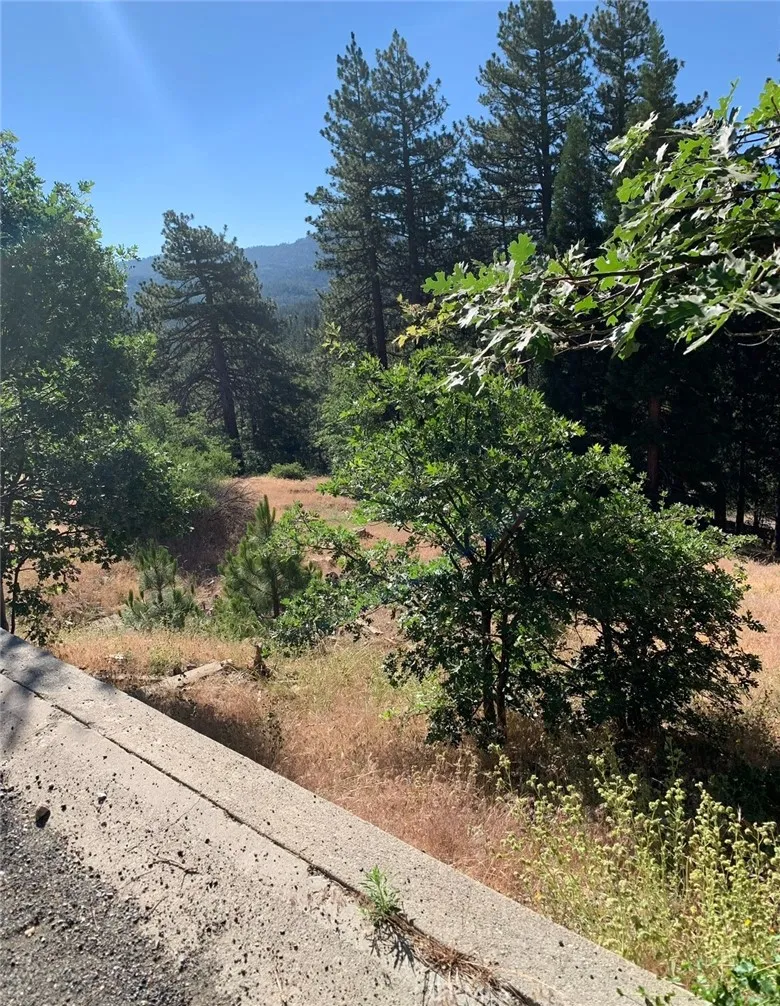 31533 Circle View Drive Running Springs, CA 92382