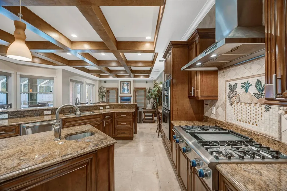 8610 VIVIAN BASS WAY Odessa, FL 33556