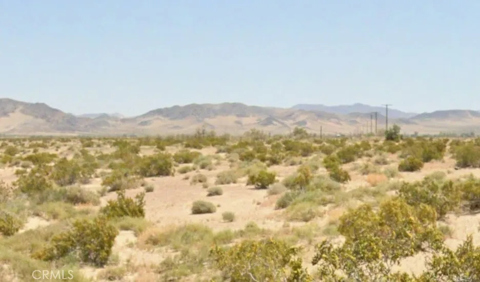 49800 Riverside Road Newberry Springs, CA 92365