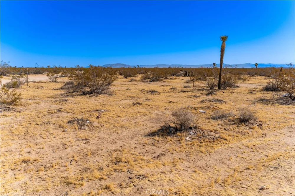6311431 Sunset Road Joshua Tree, CA 92252