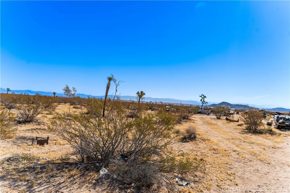 6311431 Sunset Road Joshua Tree, CA 92252