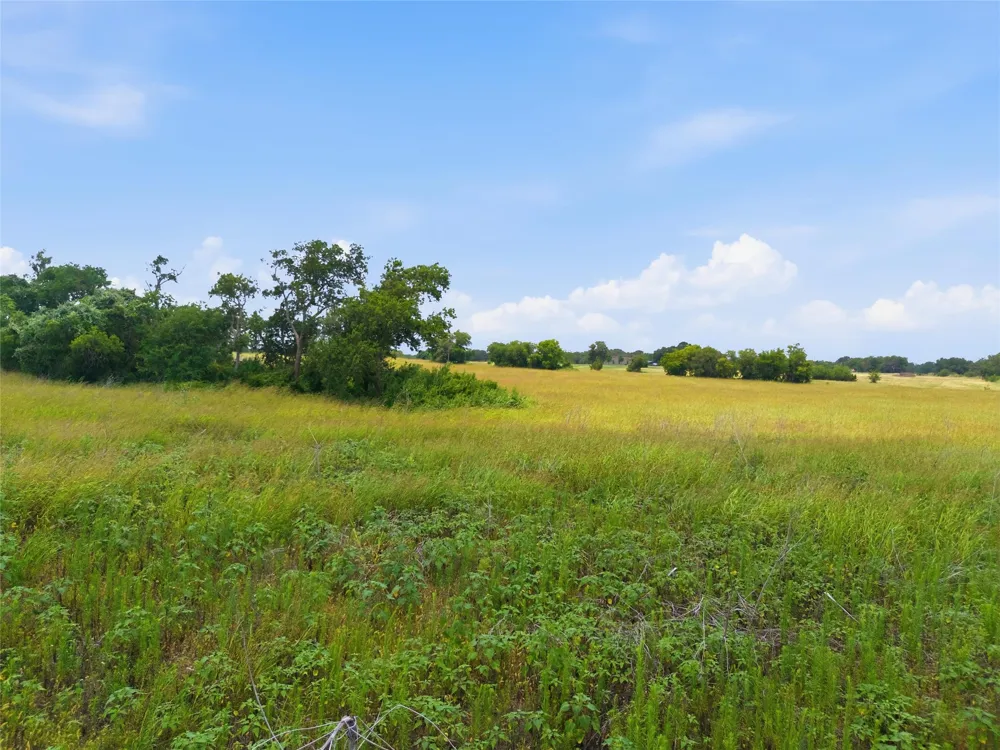 215 County Road 225 Valley Mills, TX 76689
