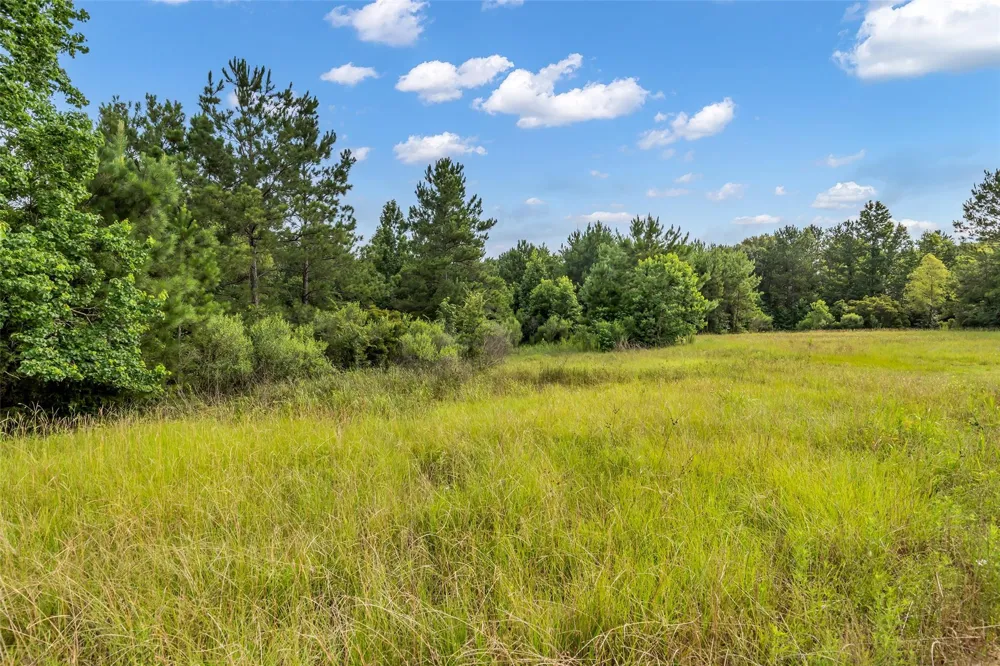 5930 Honea Egypt Road Montgomery, TX 77316