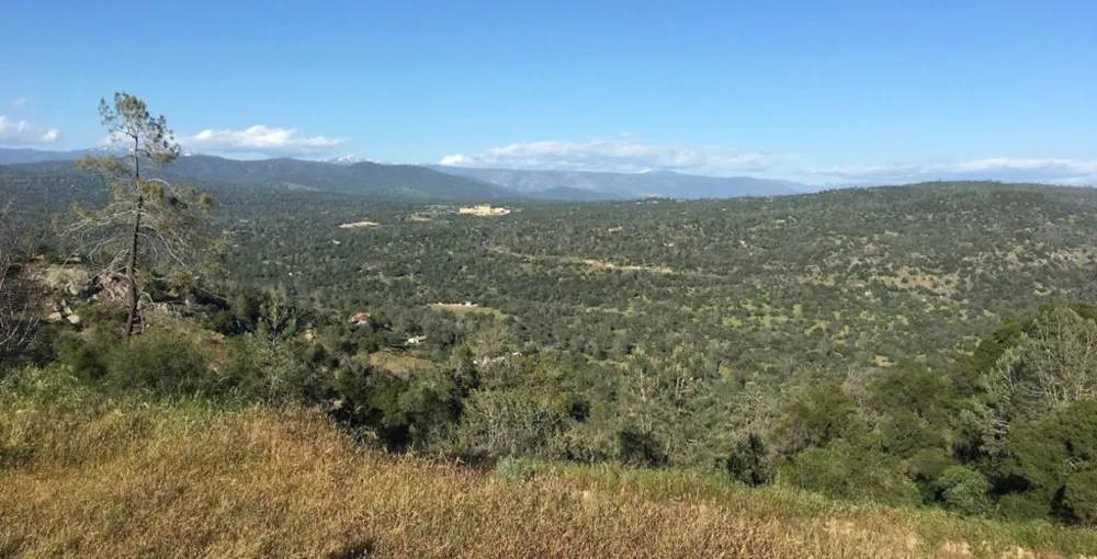 30159 Horseshoe Drive Coarsegold, CA 93614