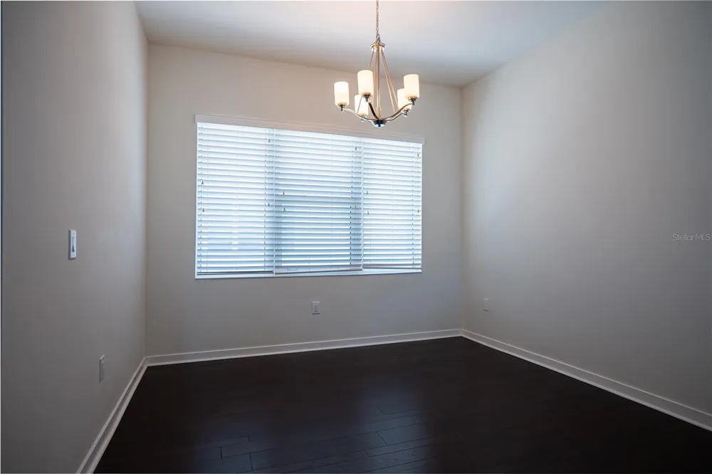 339 8TH STREET St Petersburg, FL 33701