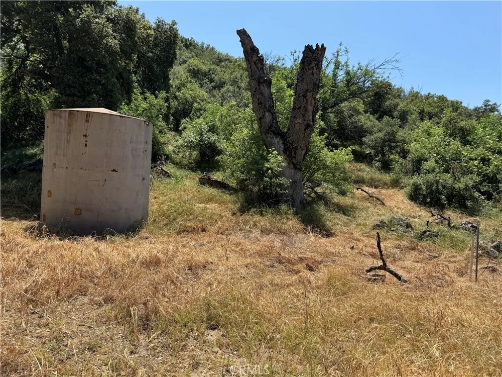 San Francisquito Canyon Road Green Valley, CA 91390