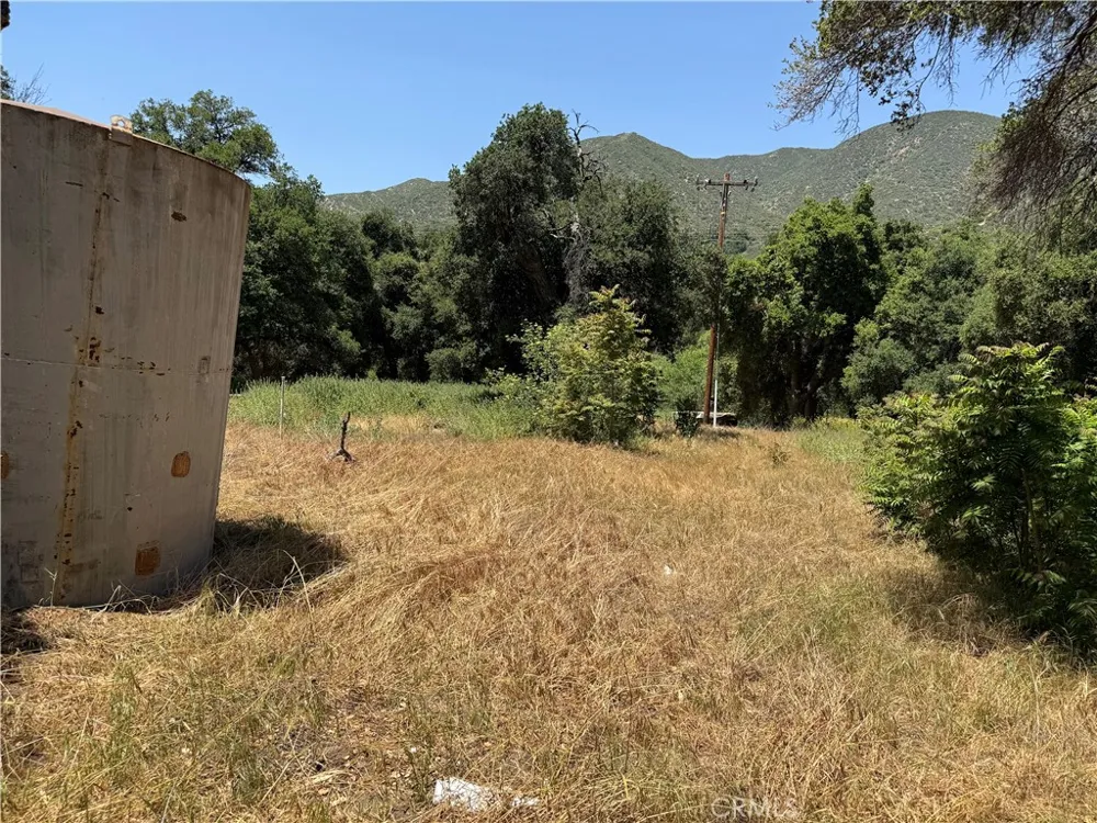 San Francisquito Canyon Road Green Valley, CA 91390