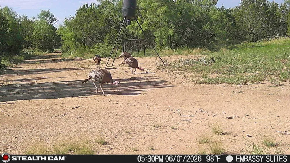 1234 RECREATIONAL ROAD 11 Millersview, TX 76862
