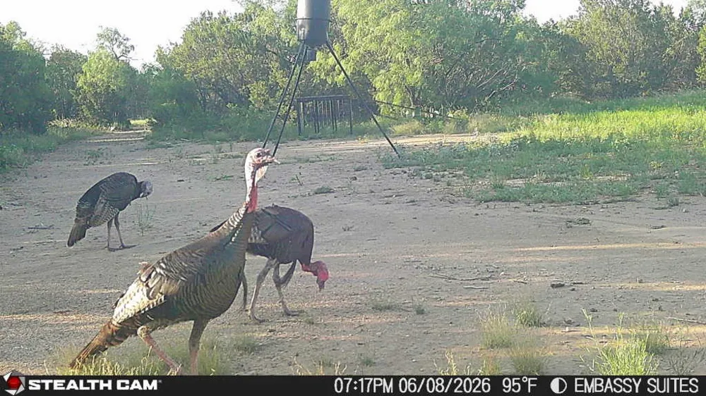 1234 RECREATIONAL ROAD 11 Millersview, TX 76862