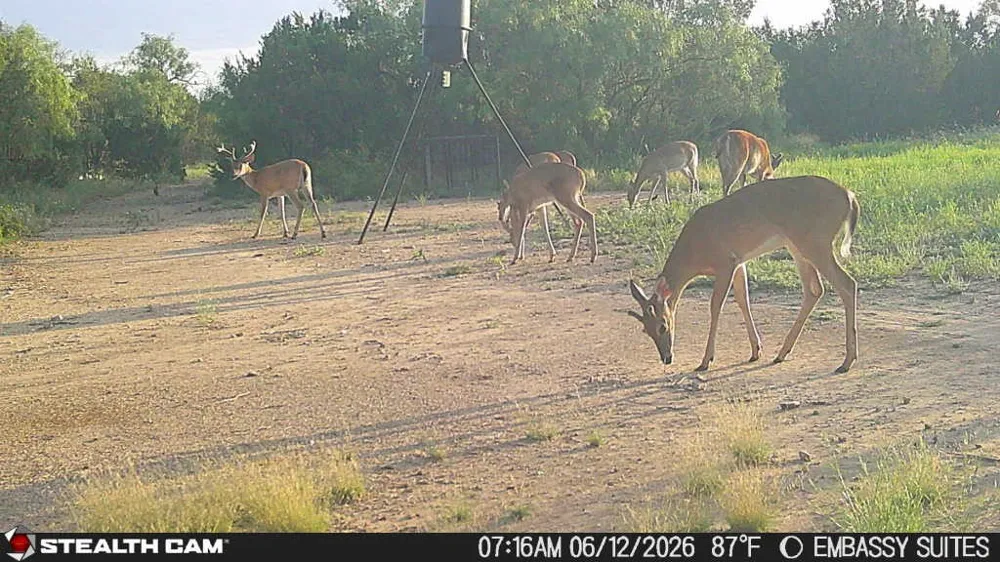 1234 RECREATIONAL ROAD 11 Millersview, TX 76862