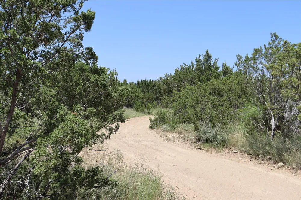 1234 RECREATIONAL ROAD 11 Millersview, TX 76862