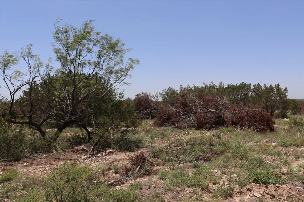1234 RECREATIONAL ROAD 11 Millersview, TX 76862
