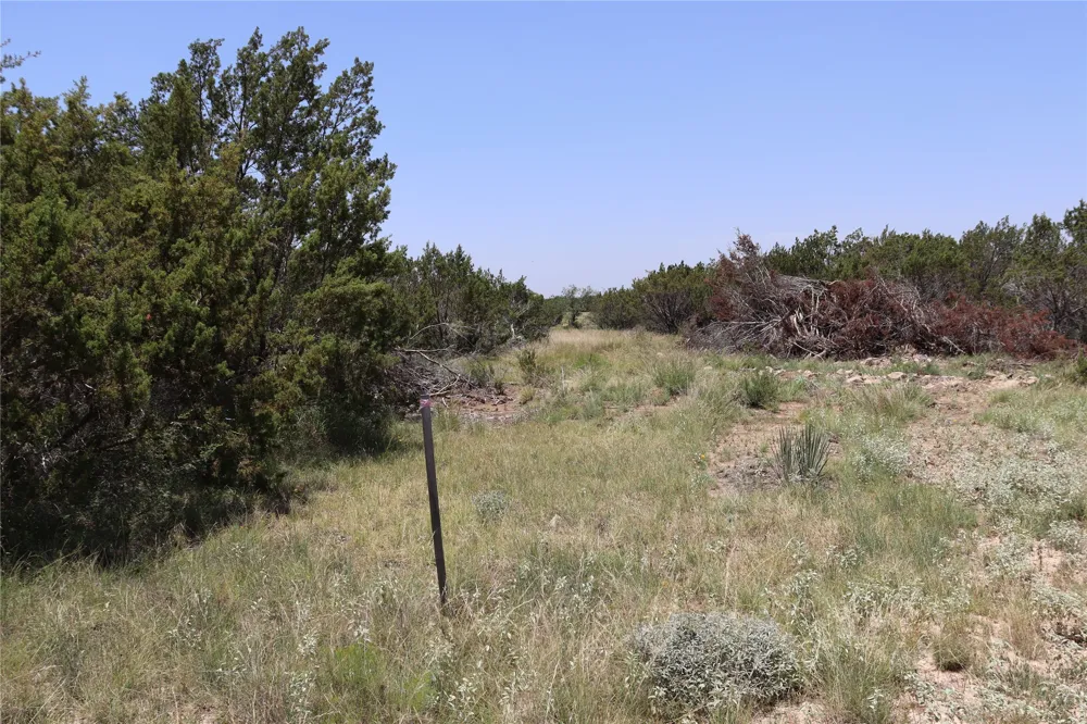 1234 RECREATIONAL ROAD 11 Millersview, TX 76862