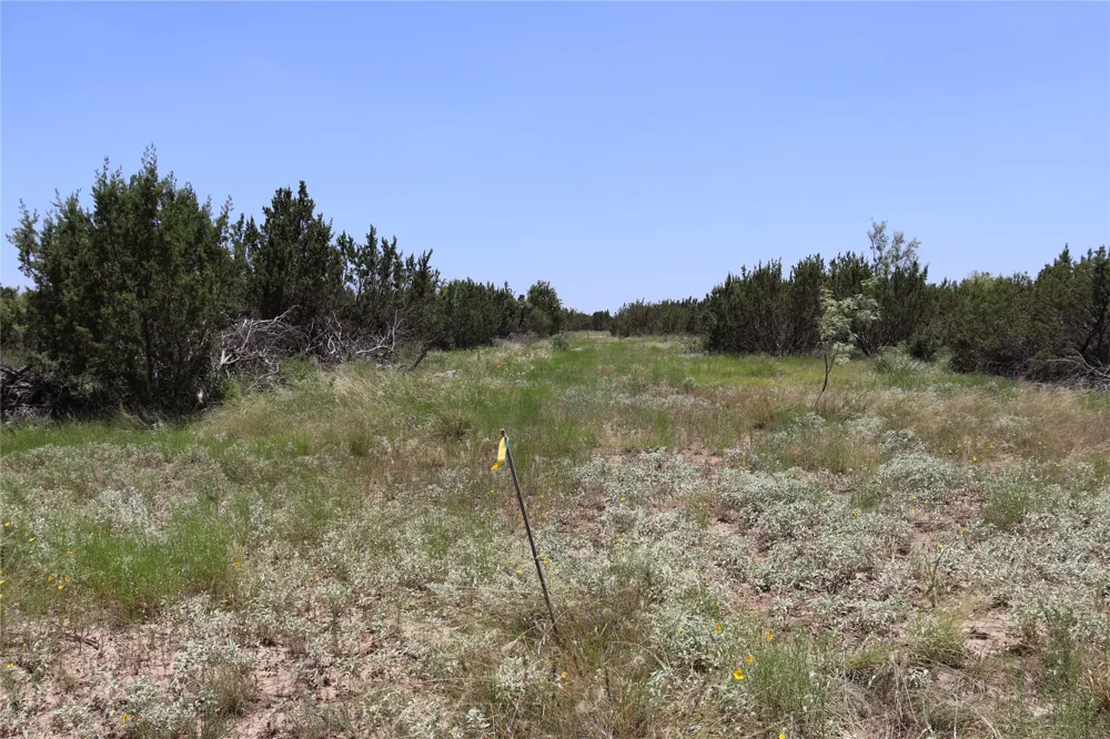 1234 RECREATIONAL ROAD 11 Millersview, TX 76862
