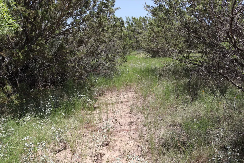 1234 RECREATIONAL ROAD 11 Millersview, TX 76862