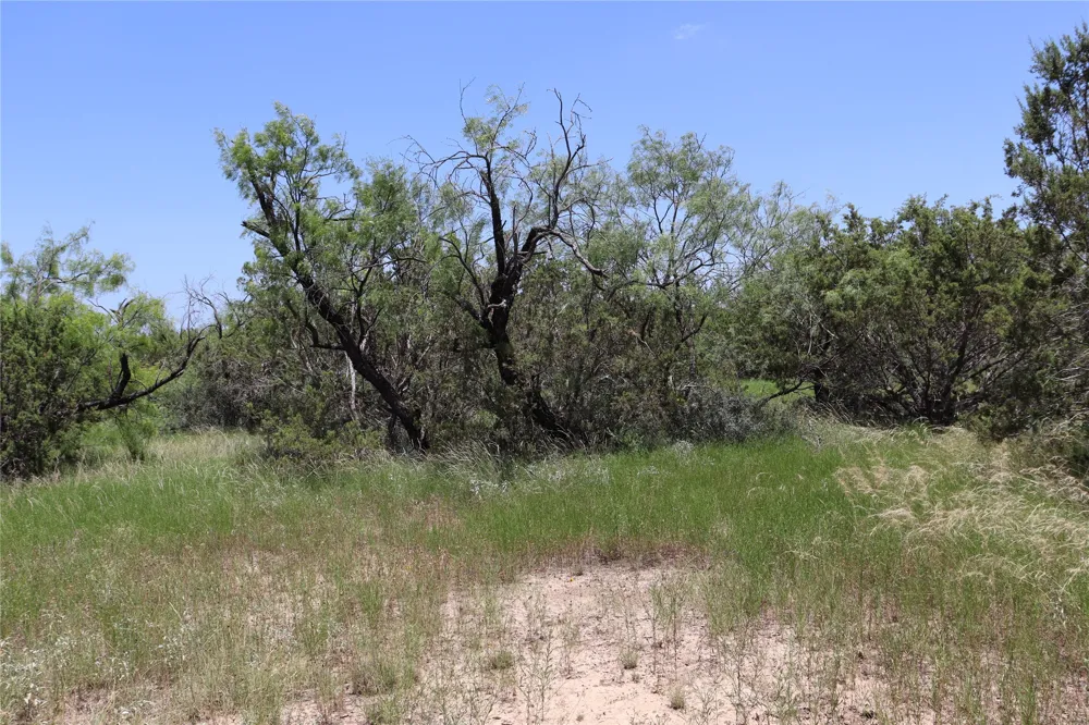 1234 RECREATIONAL ROAD 11 Millersview, TX 76862