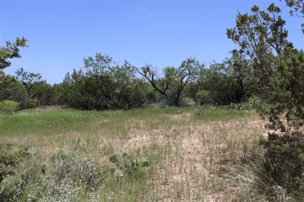 1234 RECREATIONAL ROAD 11 Millersview, TX 76862