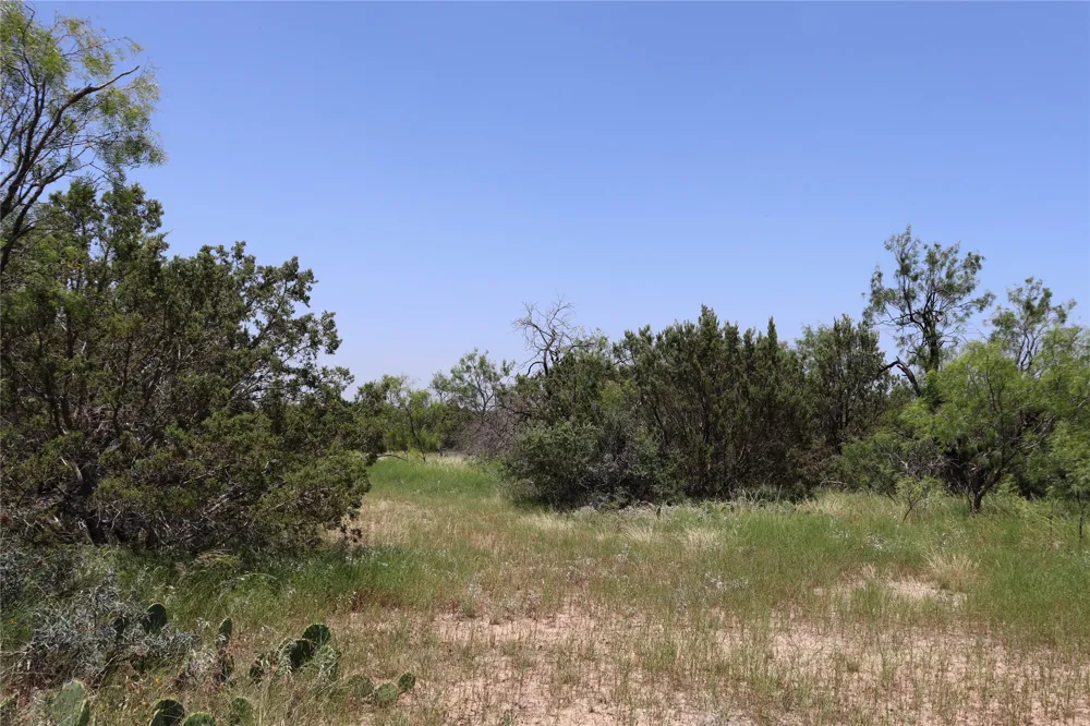 1234 RECREATIONAL ROAD 11 Millersview, TX 76862