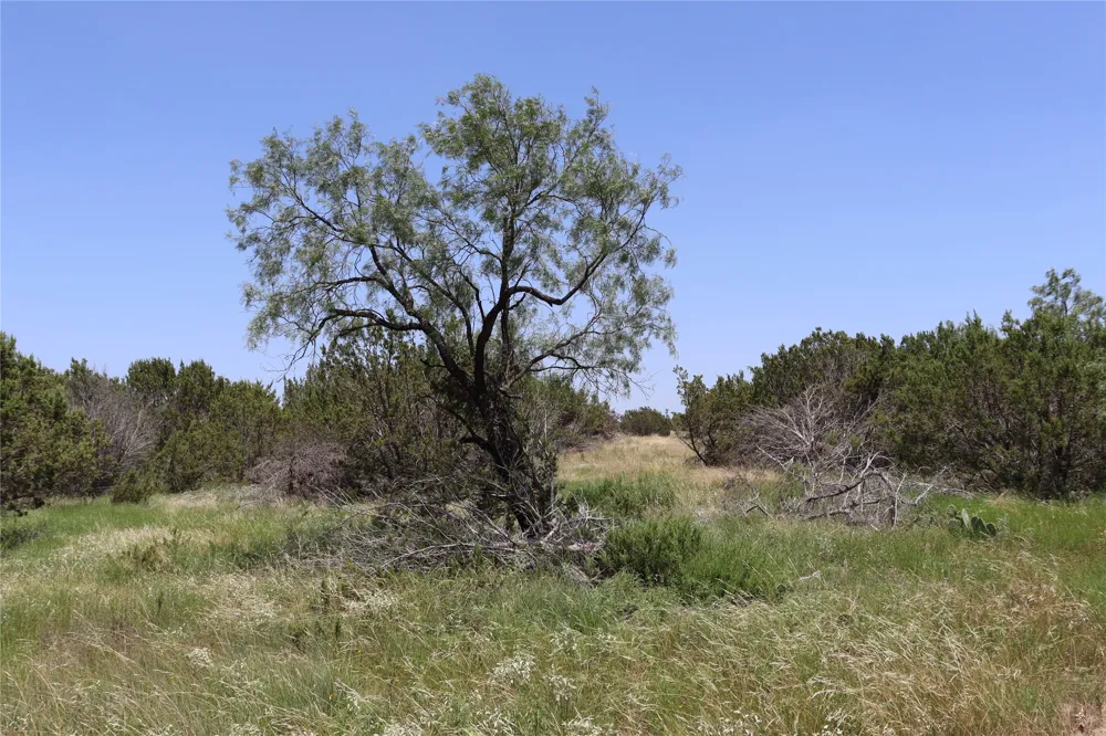 1234 RECREATIONAL ROAD 11 Millersview, TX 76862