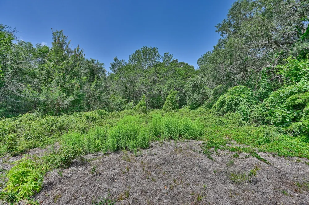 Fm 2981 Fayetteville, TX 78940