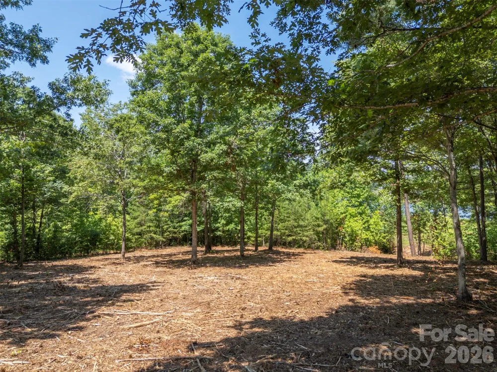 00 Doveridge Drive #66 Columbus, NC 28722