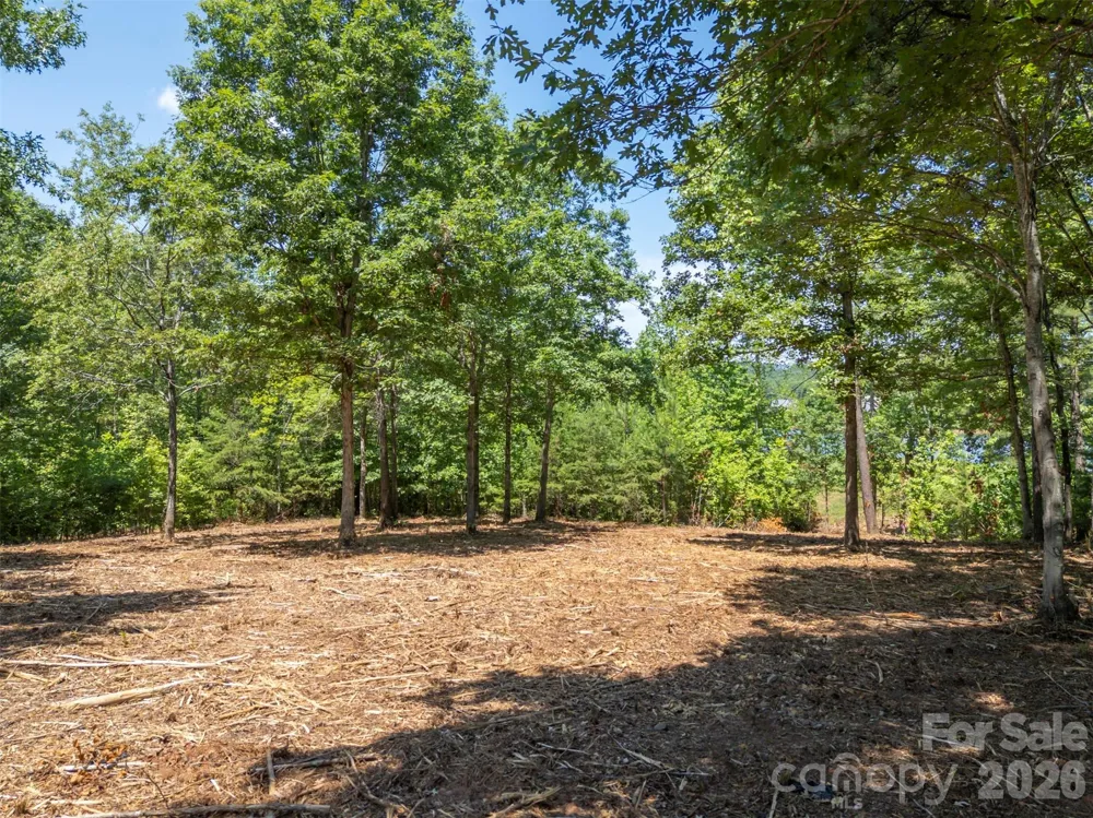 00 Doveridge Drive #66 Columbus, NC 28722