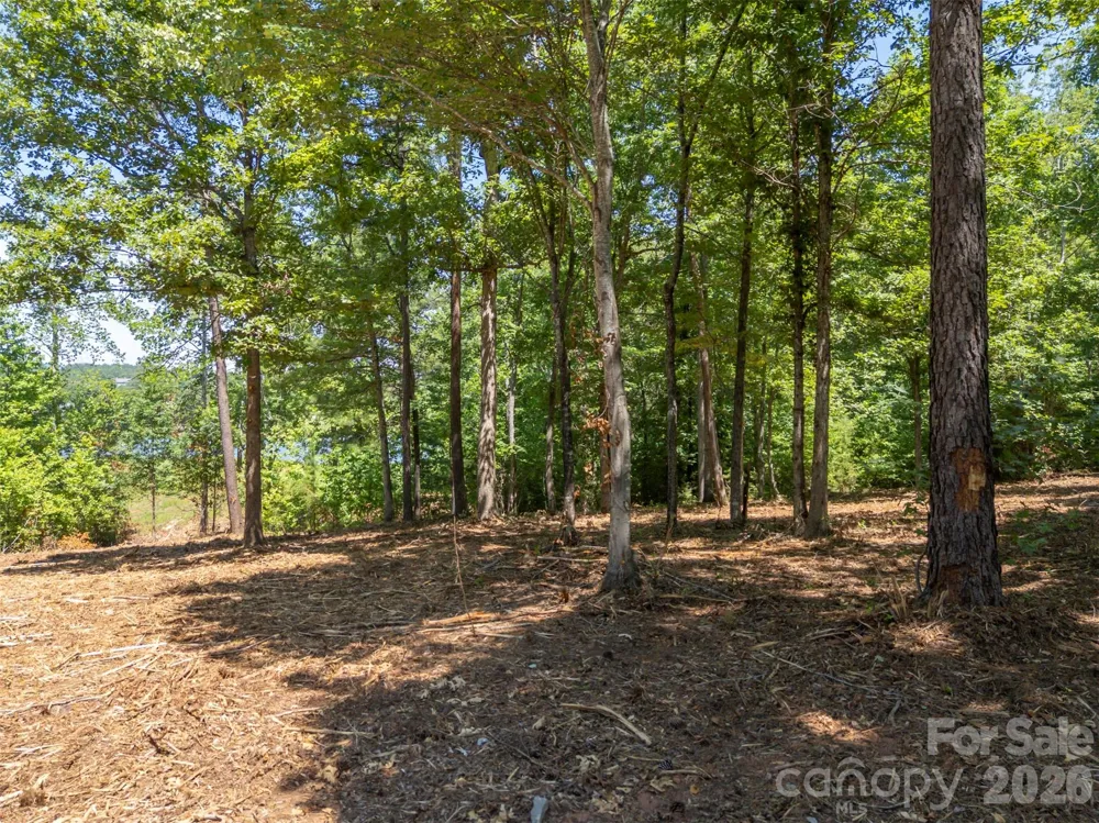 00 Doveridge Drive #66 Columbus, NC 28722
