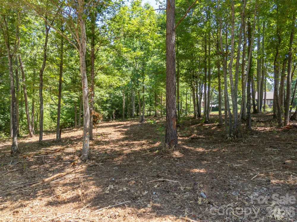 00 Doveridge Drive #66 Columbus, NC 28722