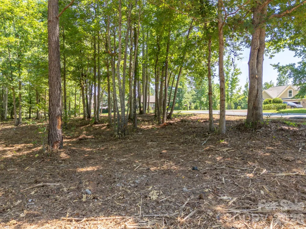 00 Doveridge Drive #66 Columbus, NC 28722