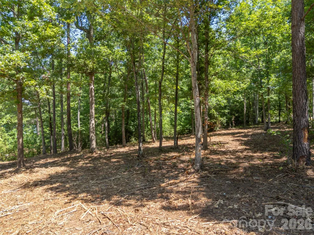 00 Doveridge Drive #66 Columbus, NC 28722