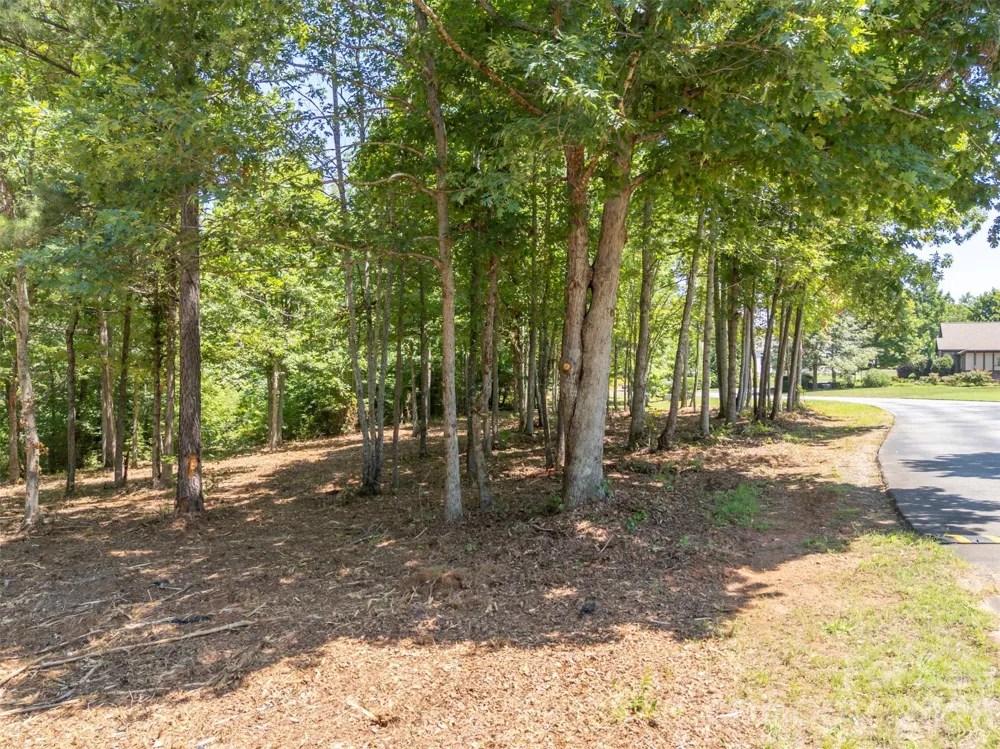 00 Doveridge Drive #66 Columbus, NC 28722