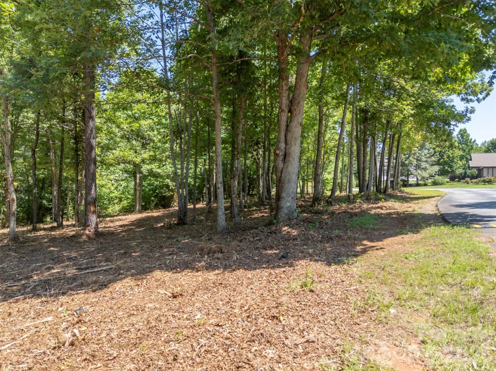00 Doveridge Drive #66 Columbus, NC 28722