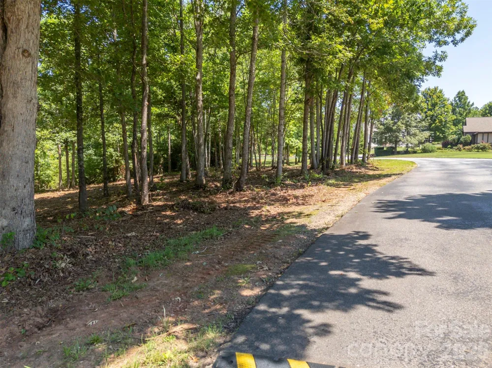 00 Doveridge Drive #66 Columbus, NC 28722